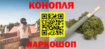 прущие грибы Магадан