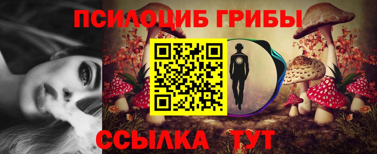 Псилоцибиновые грибы MAGIC MUSHROOMS Псков