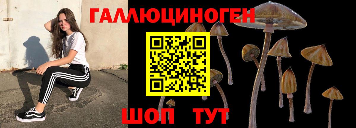 Псков  Псилоцибиновые грибы прущие грибы  Вход с VPN 