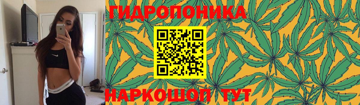 Марихуана White Widow  Вход с VPN  Бошки марихуана планчик  Псков  Канабис сатива 